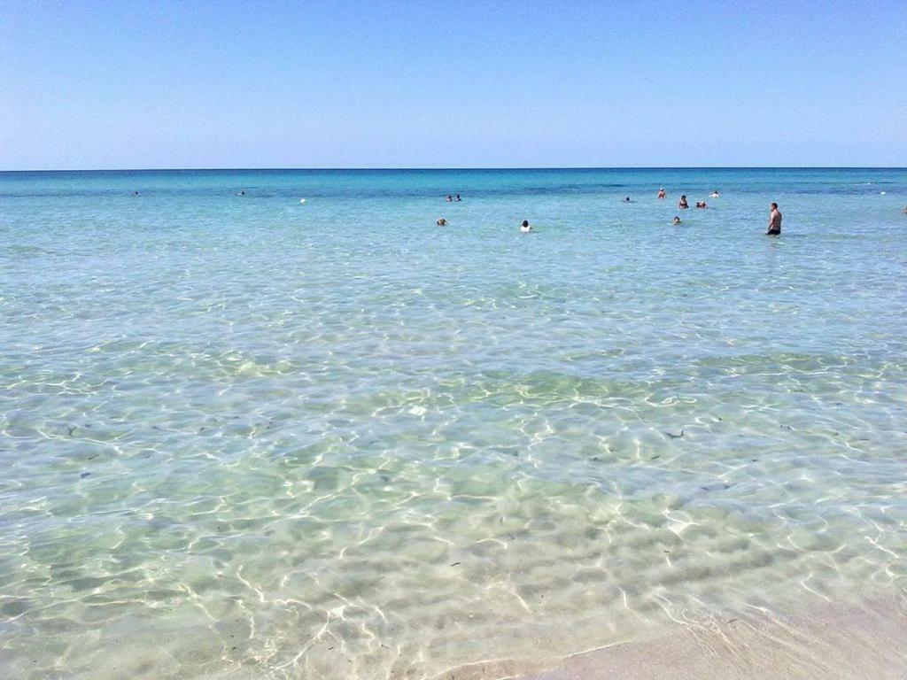 Masseria Curice Corsano  エクステリア 写真